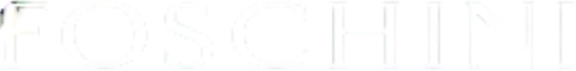 Foschini Logo