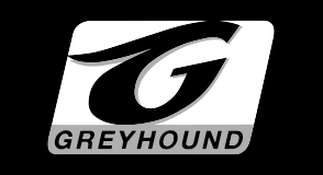 greyhound